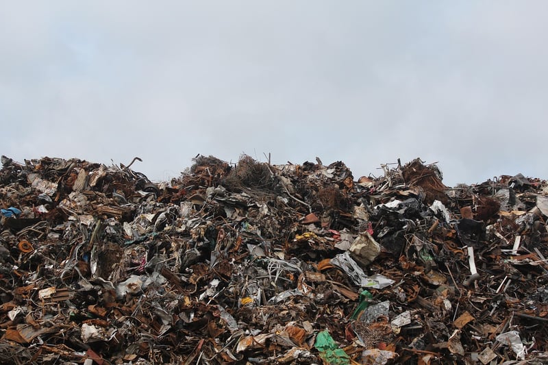 Transforming Waste into Art