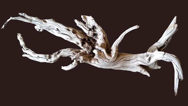 Driftwood Decor